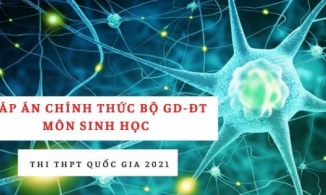 Đáp án chính thức môn Sinh học THPT quốc gia 2021 từ Bộ Giáo dục: Tất cả các mã đề