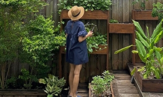 Tăng Thanh Hà khoe vườn rau nhà trồng nhưng tâm điểm lại là vóc dáng bà mẹ hai con