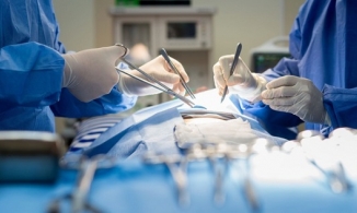 Xuất hiện ca ghép thận lợn cho người đầu tiên trên thế giới