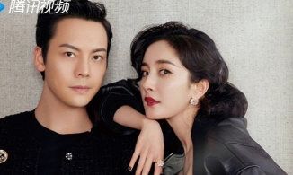 Sau Hộc châu phu nhân, Dương Mịch hóa fangirl của Trần Vỹ Đình