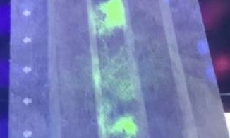 Nhà khoa học Nhật sáng chế ra khẩu trang phát hiện Covid-19