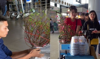 Từ ngày 17/1, hành khách có thể mua vé máy bay vận chuyển trọn gói hoa mai, hoa đào về ăn Tết