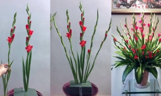Mẹo cắm hoa lay ơn đẹp và giữ hoa lay ơn tươi lâu trên bàn thờ ngày Tết