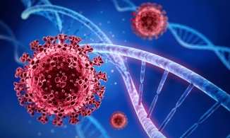 Việt Nam đã xuất hiện biến thể phụ BA.5 có khả năng miễn dịch vaccine