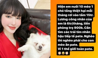 Elly Trần tìm người tiếp tế pate cho 10 thú cưng vì tiền pate gấp 2,5 lần thu nhập?