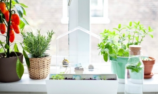 5 khu vực bạn thường bỏ lỡ khi trang trí nhà