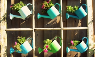 9 ý tưởng 'tái sinh' khung cửa sổ cũ thành vật trang trí nhà đẹp lạ