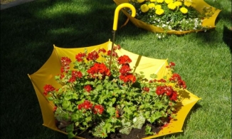 Những ý tưởng tái sử dụng ô cũ thành món đồ trang trí nhà thêm độc đáo