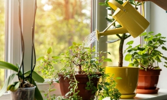 4 cách đơn giản mà hiệu quả để tạo nên phong thủy tốt cho ngôi nhà