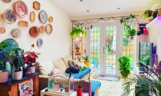 Ngôi nhà chỉ 46m² nhưng có đến 100 chậu cây cảnh của cô nàng yêu cây xanh