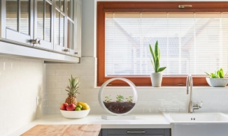 Led Planter, chiếc chậu cây kiêm đèn ngủ, đồ trang trí cá tính tiền triệu