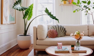 4 phụ kiện càng mang về trang trí nhà, nhà càng dễ 'kém sang'