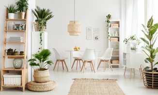 Trồng cây trong nhà: 5 ý tưởng tự tạo một khu vườn mini xinh đẹp ngày Hè