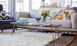 4 xu hướng trang trí nhà sinh động và cơ động bằng thảm trải sàn