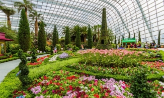 Những công trình nhà kính khiến người xem không thể rời mắt của thế giới 