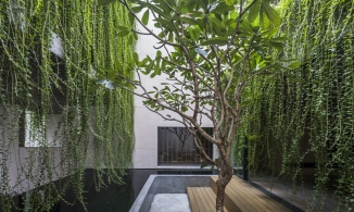 Villa Tân Định: 'Mảnh vườn thơ' xanh mướt giữa trung tâm Sài Gòn tấp nập