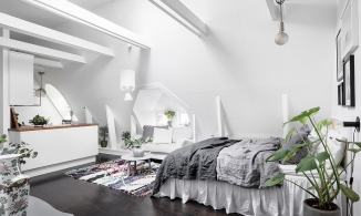 Căn hộ áp mái 31m² phong cách Scandinavian ấm cúng của chàng kỹ sư độc thân