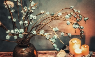 Cắm hoa bạch đàn, trend trang trí nhà hút chị em vì vừa thơm, vừa đuổi muỗi