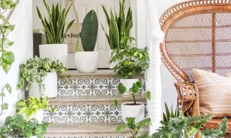 4 ý tưởng trang trí cầu thang đẹp mắt, ấn tượng từ cái nhìn đầu tiên