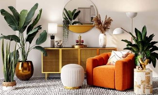 Mẹo lựa chọn cây cảnh trang trí sao cho phù hợp với từng khu vực chức năng trong nhà