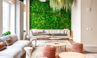 Ngôi nhà ngày Tết sinh động bất ngờ với những 'khu vườn trên tường' cực kỳ mát mắt