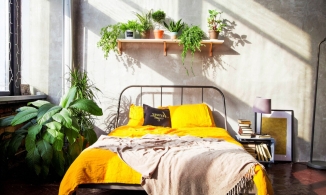 6 món đồ trong phòng ngủ là nơi trú ẩn của vi khuẩn, cần được vệ sinh thường xuyên