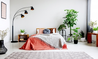 Phong thủy là gì? 40 điểm cần lưu ý để tạo phong thủy tốt cho nhà ở, gia chủ gặp vạn sự hanh thông