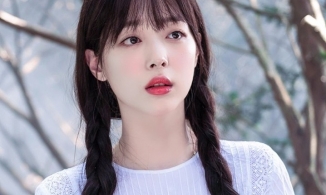 Phim tài liệu về Sulli bị nhà chức trách Hàn Quốc 'sờ gáy'