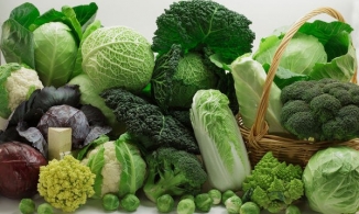 Thử tài chị em: Bạn phân biệt được bao nhiêu loại rau cải?