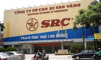 Cao su Sao Vàng bị truy thu và nộp hơn 1,6 tỷ đồng tiền thuế
