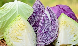 Những người tuyệt đối không được ăn bắp cải