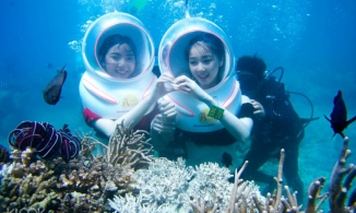 Sea Walking-tour đi bộ dưới đáy biển nhất định phải thử khi tới Nha Trang 