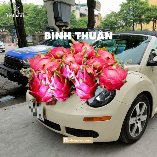 Dâu Bình Thuận thì nhất định phải được rước bằng xe hoa thanh long nhé!