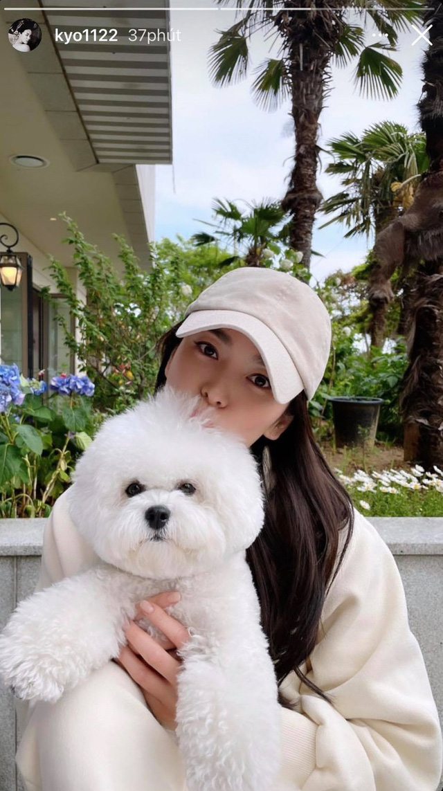 Chụp ảnh với cún cưng, Song Hye Kyo vẫn gây bão vì nhan sắc không tuổi - Ảnh 1