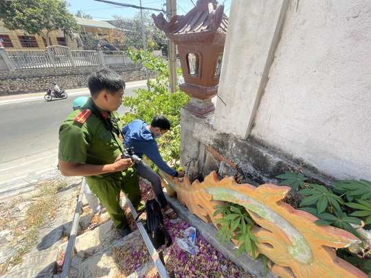 Lực lượng chức năng xem xét gốc hoa giấy ở chùa Phổ Diệu. Ảnh: Vietnamnet.
