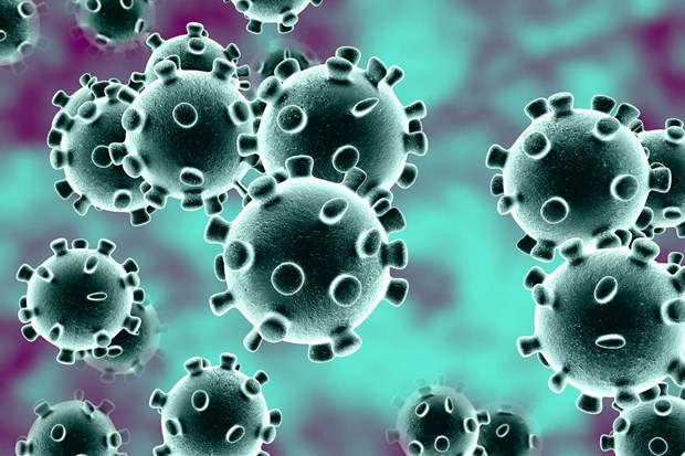 WHO chính thức xác nhận khả năng lây virus Covid-19 từ người sang động vật - Ảnh 1