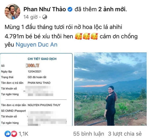 Phan Như Thảo được chồng đại gia tặng 5000m2 đất, tuyên bố cho cả gia tài - Ảnh 1