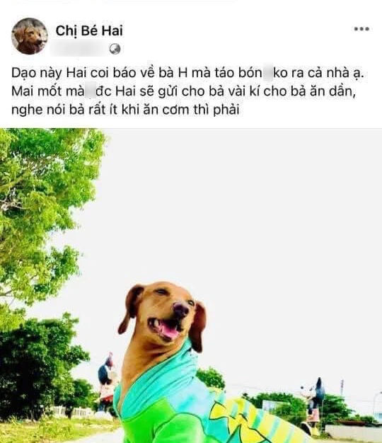 Xuân Nghị bị phản ứng mạnh mẽ vì bài đăng chứa ngôn từ thô tục trên Facebook của cún cưng được cho là nhắc đến bà Phương Hằng.