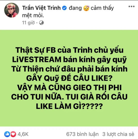 Việt Trinh phản hồi trước cáo buộc livestream bán hàng từ thiện để câu view - Ảnh 1
