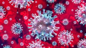 Phát hiện các sản phẩm tự nhiên có thể chống lại virus Covid-19 - Ảnh 1