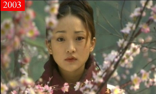 Năm 2003, Châu Tấn xuất hiện trong Anh hùng xạ điêu với vai diễn Hoàng Dung. Sự thể hiện xuất sắc của cô và gương mặt không tỳ vết đã góp phần giúp bộ phim mang về tỉ suất người xem kỉ lục.