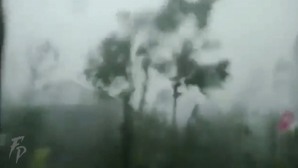 Rùng mình với những hình ảnh Philippines tan hoang sau bão Goni - Ảnh 1