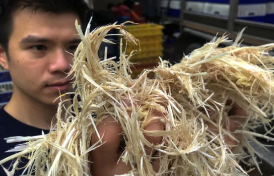 Thái Lan: Tái chế lông gà thành bột làm bánh và thực phẩm chay - Ảnh 1