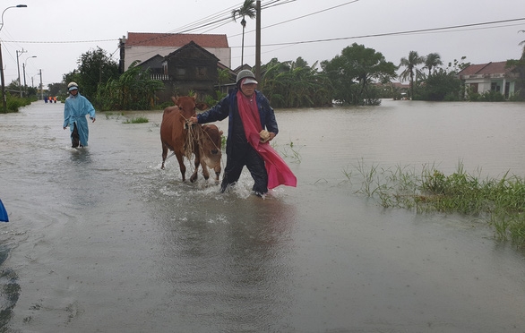 Lũ lại dâng cao ở miền Trung, cả ngàn người đối phó với lụt và sạt lở đất - Ảnh 7