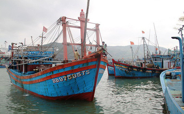 Các tàu kiểm ngư đã tiếp cận vị trí 2 tàu cá Bình Định gặp nạn - Ảnh 1