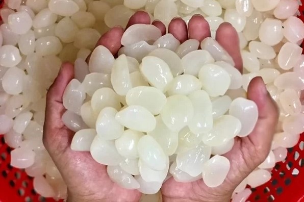 Bỏ túi cách chọn mua, sơ chế và bảo quản hạt đác cực đơn giản cho người nội trợ - Ảnh 1