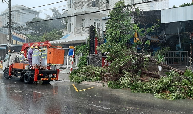 Bão số 12 gây ngập úng, quật đổ cây xanh tại Phú Yên, Khánh Hòa - Ảnh 5