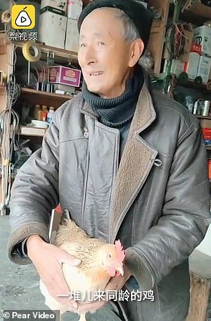Ông Song Zhenduo - chủ nhân của chú gà kỳ lạ