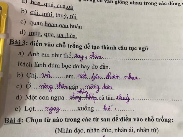 Khi học sinh tiểu học làm bài tập tiếng Việt và cái kết - Ảnh 1