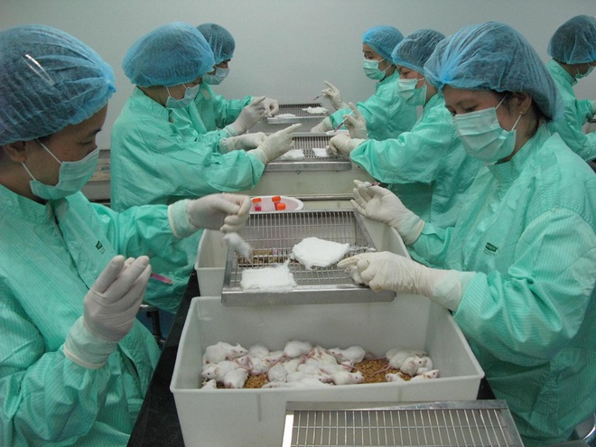 Việt Nam sẽ thử nghiệm vaccine Covid-19 trên người vào tháng 11 - Ảnh 2
